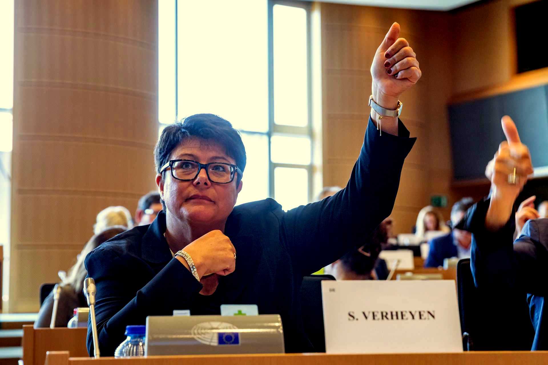 Meine Aufgaben Sabine Verheyen